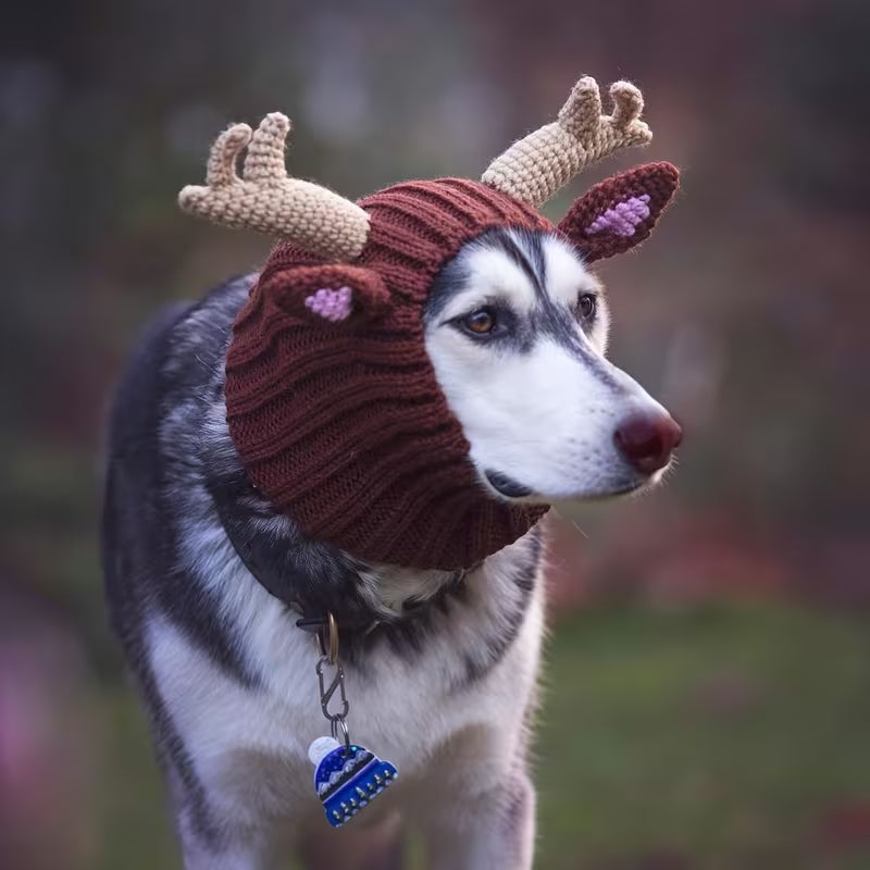 Dog Cat Reindeer Knit Costume | Warm Pet Pullover Hat Outfit for Christmas Halloween New Year